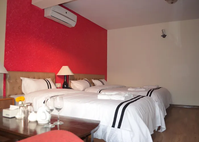 Amaryllis Kathmandu