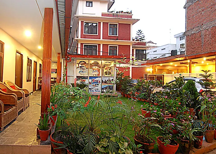 Amaryllis Kathmandu
