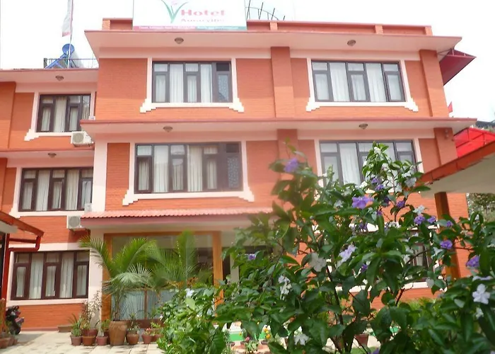 Amaryllis Kathmandu